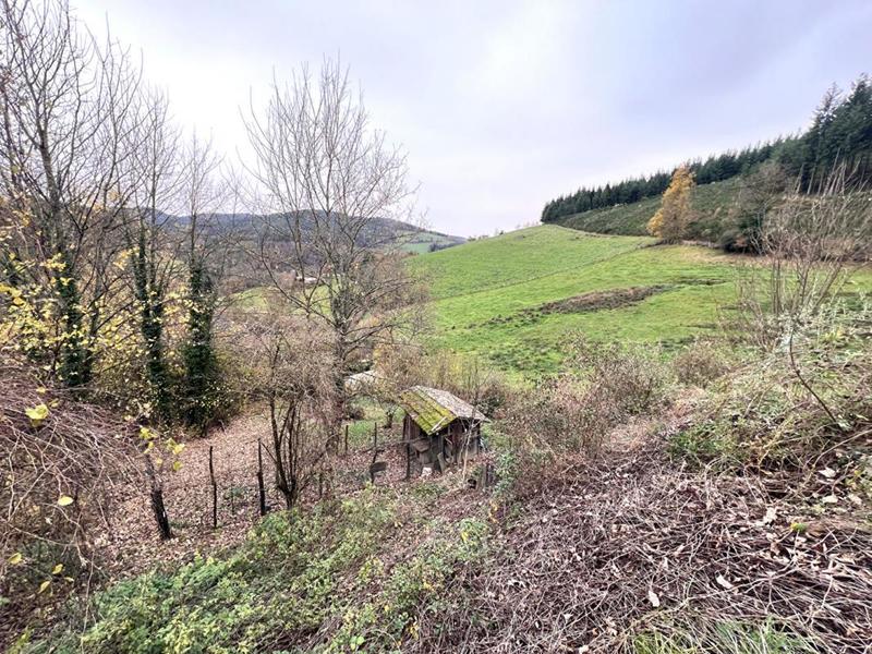 Maison - 128 m² - 3 pièces