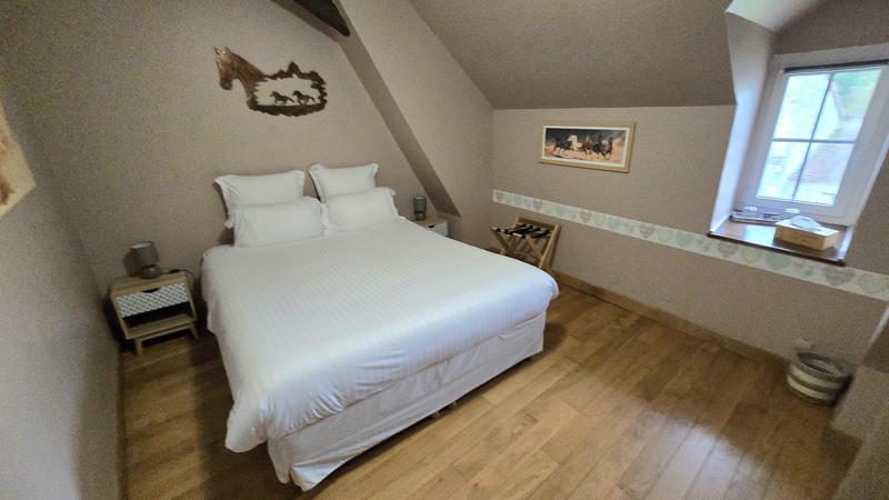 Maison de domaine - 263 m² - 9 pièces