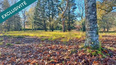 Maison de maîtres - 211 m² - 9 pièces