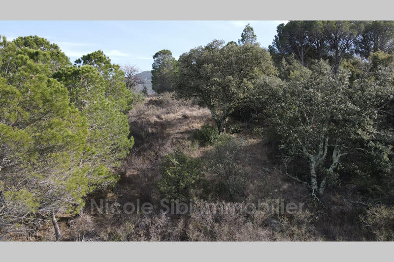 Terrain agricole - 1 730 m²