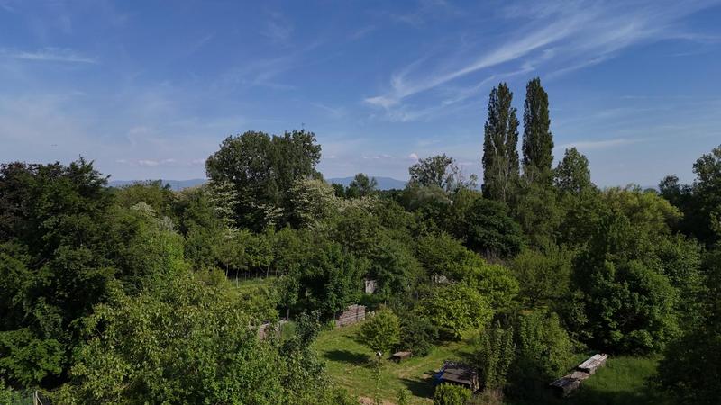 Appartement - 49 m² - 3 pièces