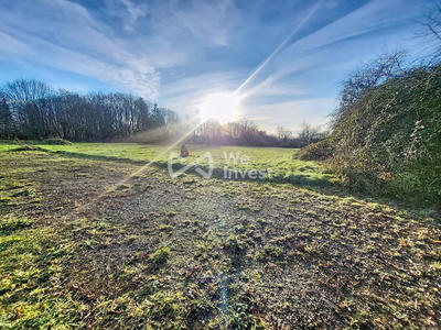 Terrain - 11 965 m²