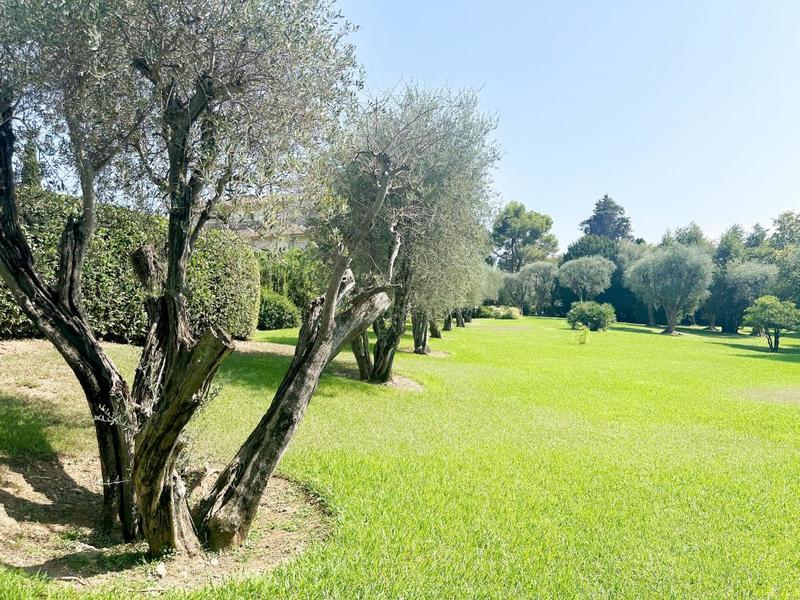 Appartement - 79 m² - 3 pièces