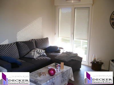 Appartement - 50 m² - 2 pièces