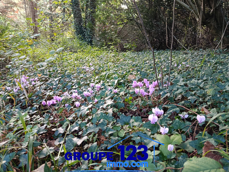 Maison - 46 m² - 3 pièces