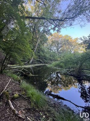 Terrain - 25 674 m²