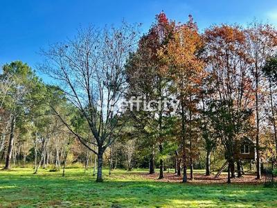 Maison - 290 m² - 10 pièces