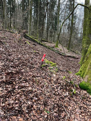 Châlet - 70 m² - 2 pièces