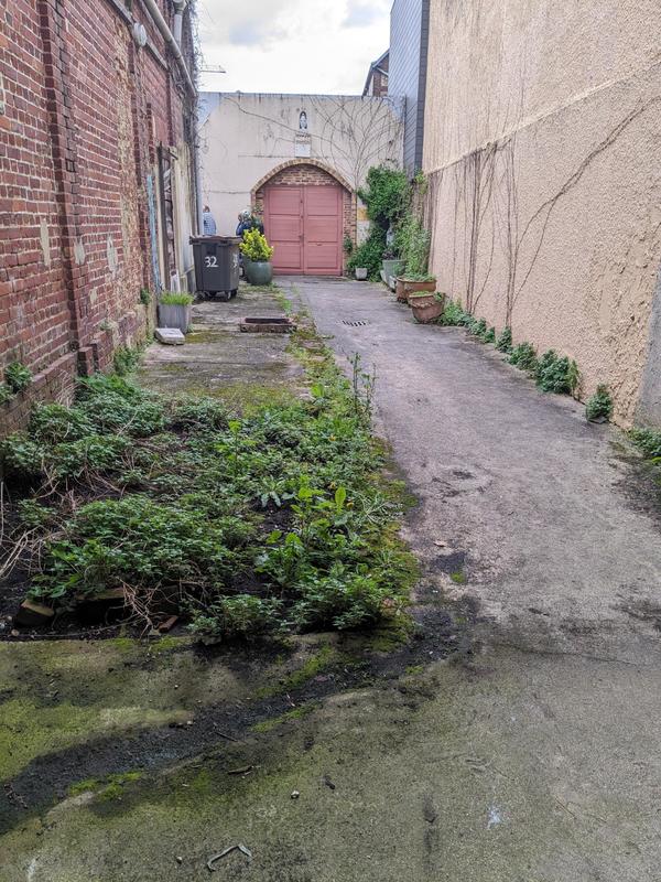 Local commercial - 500 m² - 10 pièces