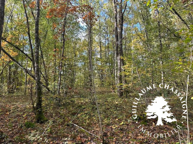 Terrain - 15 870 m²