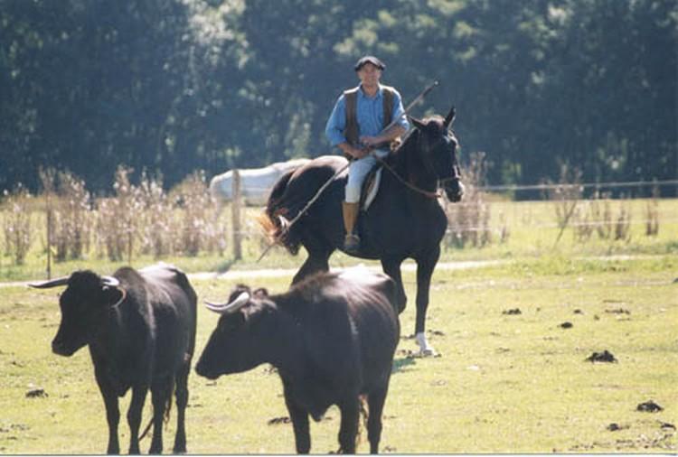 Les jeudis Gascons à la Ganadéria de Buros