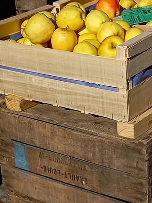 Marché hebdomadaire de la Ville-aux-Clercs