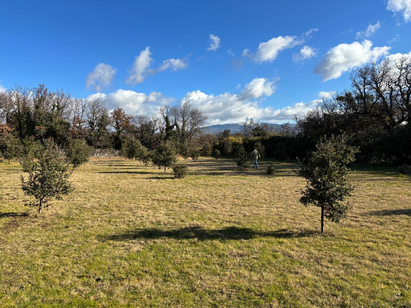Terrain - 1 205 m²