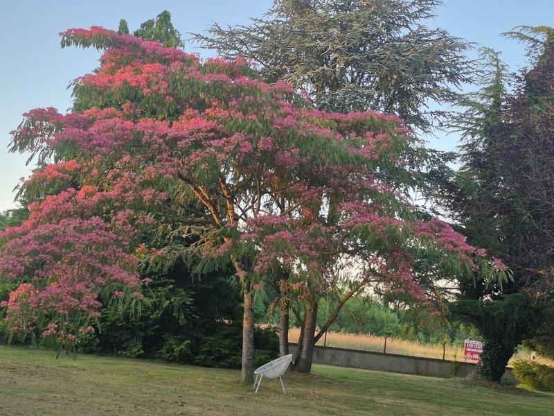 Maison - 178 m² - 7 pièces