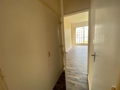 Studio - 25 m² - 1 pièce