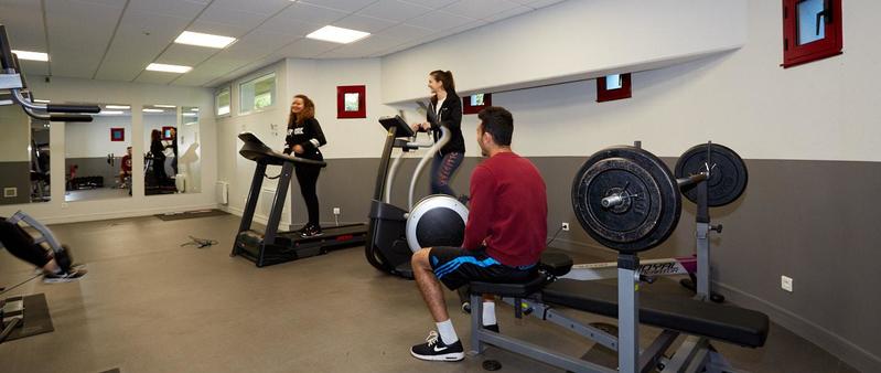 Studio - 15 m² - 1 pièce