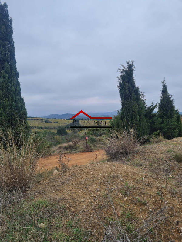 Terrain agricole - 23 648 m²