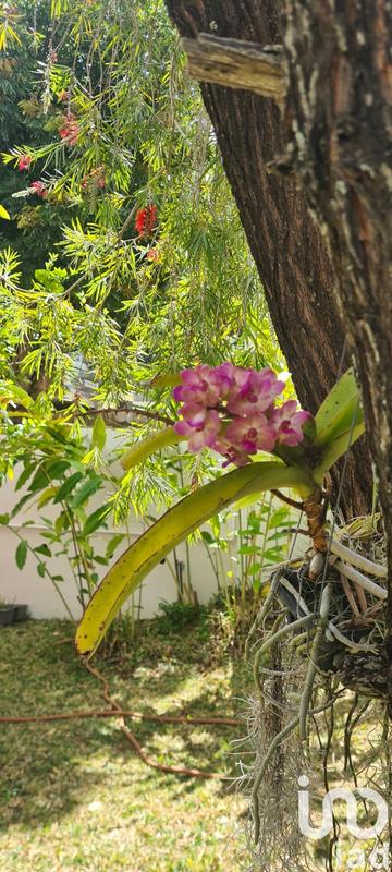 Maison - 205 m² - 7 pièces