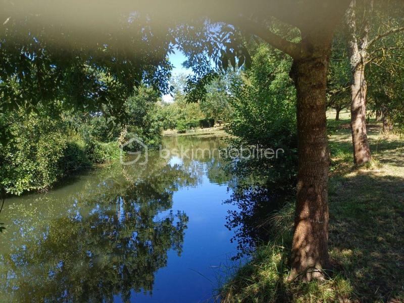 Terrain de loisirs - 8 163 m²