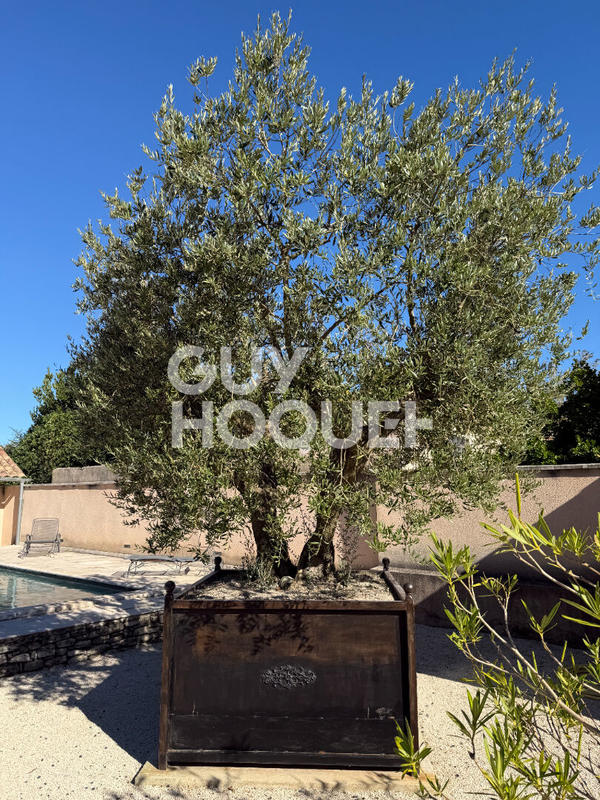 Maison bourgeoise - 680 m² - 20 pièces