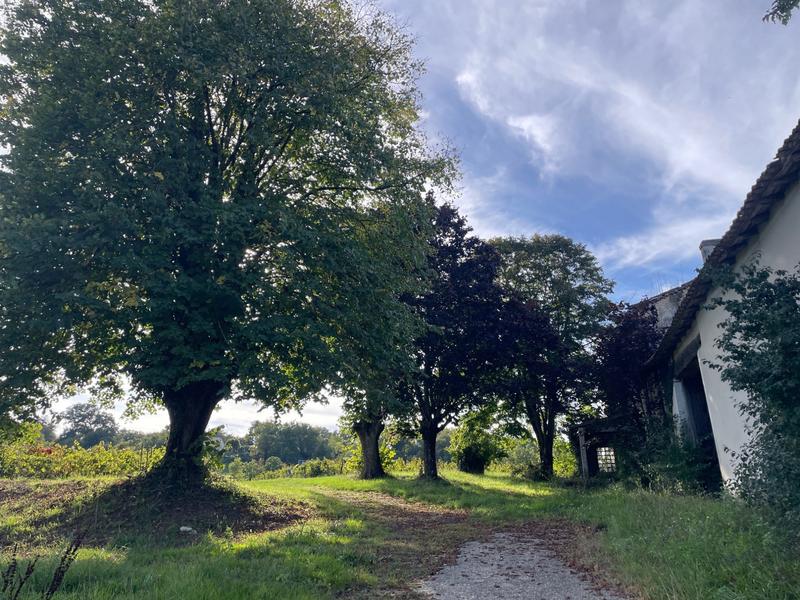 Maison ancienne - 450 m² - 3 pièces