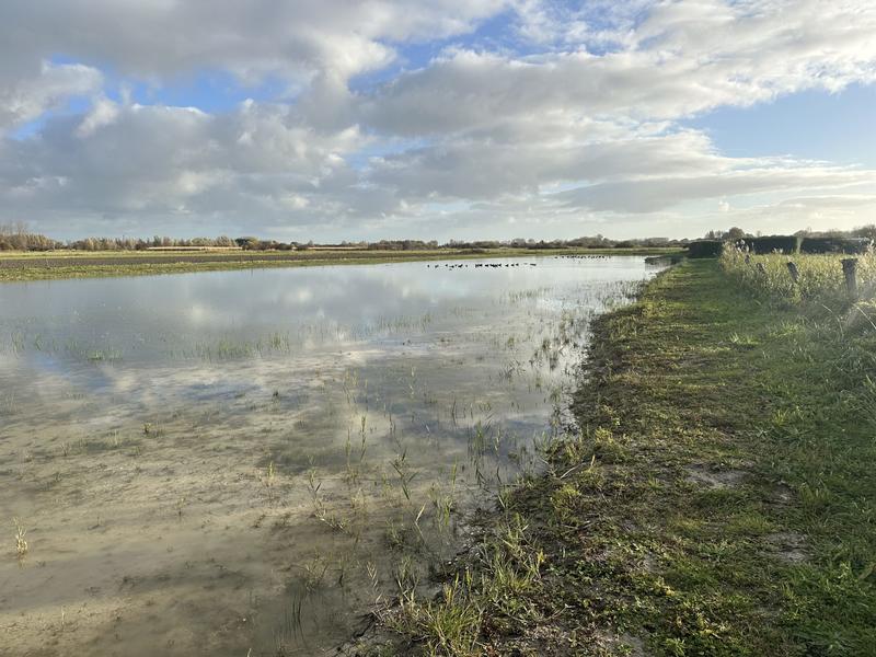 Terrain agricole - 8 390 m²