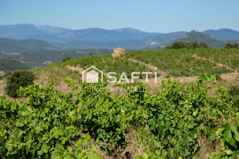 Local commercial - 82 497 m²