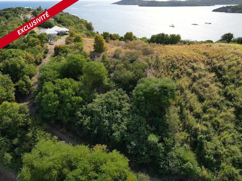 Terrain constructible - 4 664 m²