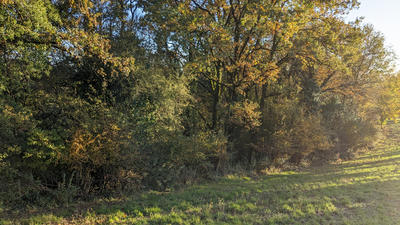 Terrain agricole - 58 891 m²