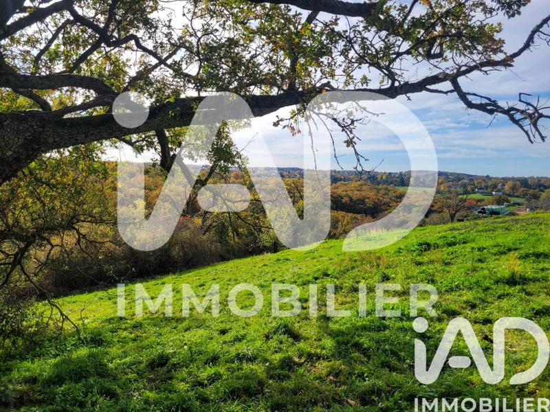 Maison - 317 m² - 8 pièces