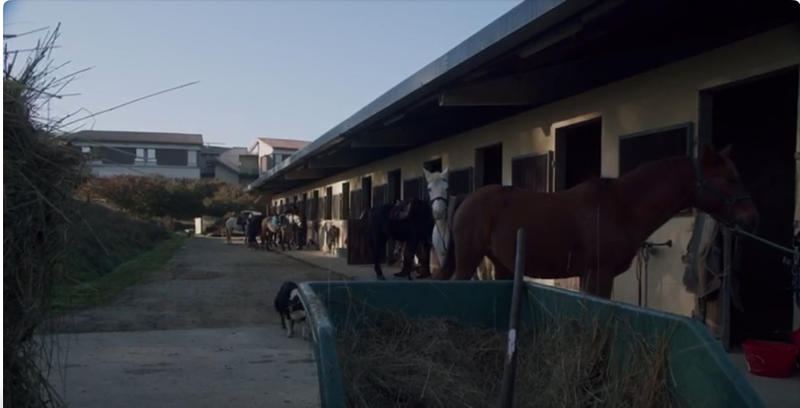 Propriété - 115 m² - 1 pièce