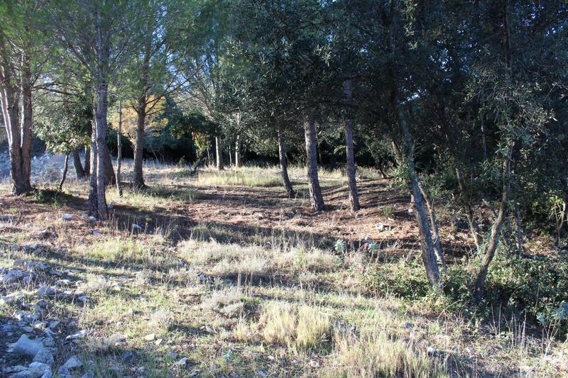 Terrain - 2 500 m²