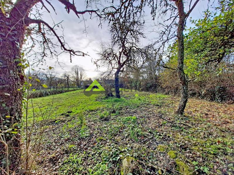 Maison de village - 111 m² - 6 pièces