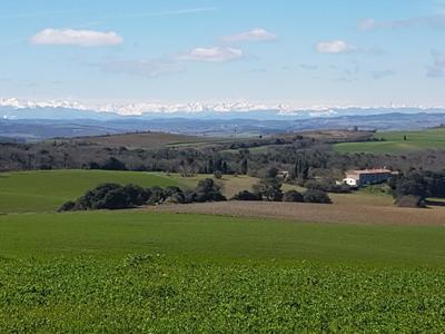 Maison - 575 m² - 30 pièces