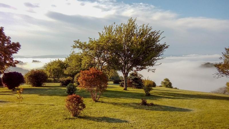 Maison en pierre - 232 m² - 7 pièces