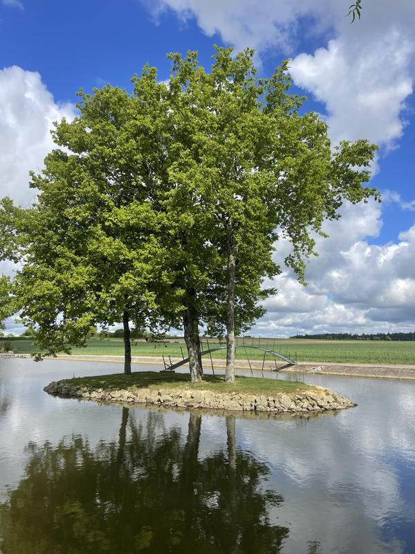 Terrain de loisirs - 15 900 m²