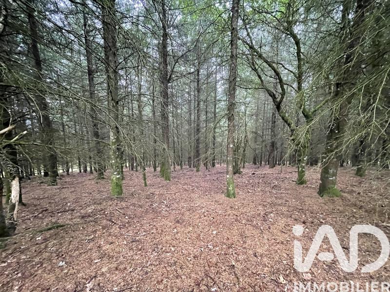 Terrain - 121 370 m²