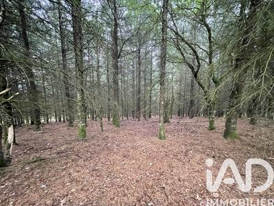 Terrain - 121 370 m²