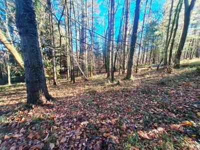 Maison traditionnelle - 164 m² - 5 pièces