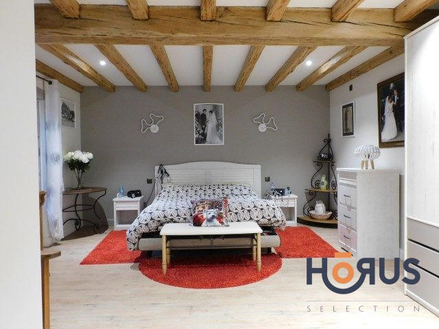 Viager - Maison ancienne - 367 m² - 14 pièces