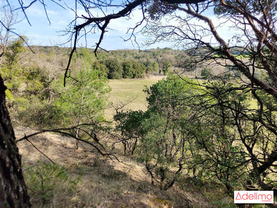 Terrain agricole - 17 947 m²