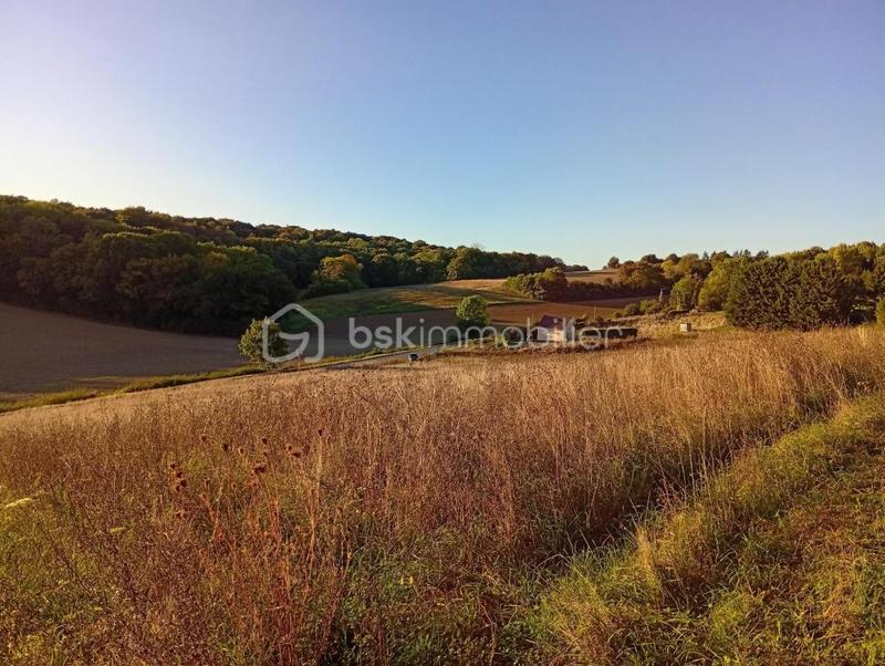 Terrain agricole - 10 469 m²