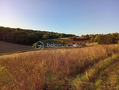 Terrain agricole - 10 469 m²