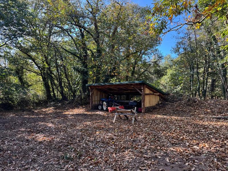 Propriété - 110 m² - 5 pièces