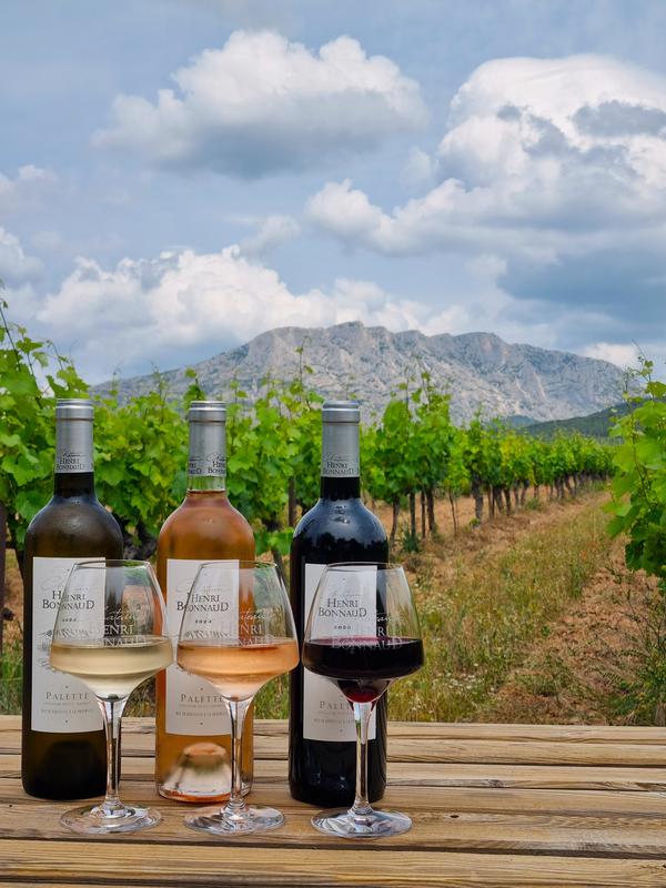Visite et dégustation au Château Henri Bonnaud