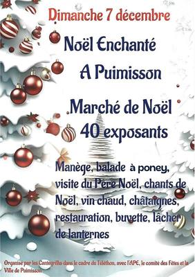 Noël enchanté - marché de noël