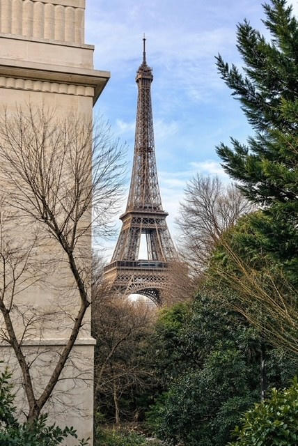 Appartement - 296 m² - 8 pièces