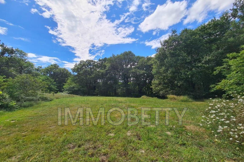 Maison - 225 m² - 8 pièces