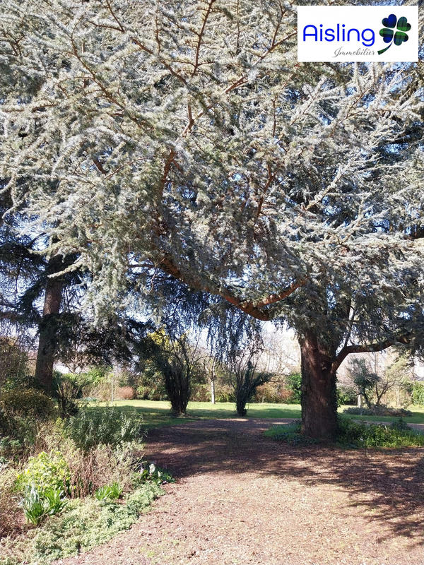 Maison ancienne - 196 m² - 8 pièces