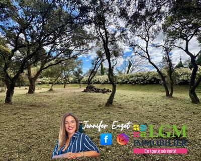 Terrain constructible - 1 429 m²